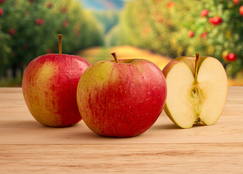 Five Branches Orchard & Juice Press Ben Davis Apples