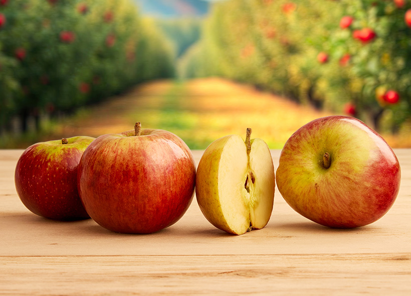 Five Branches Orchard & Juice Press Dabinett Apples