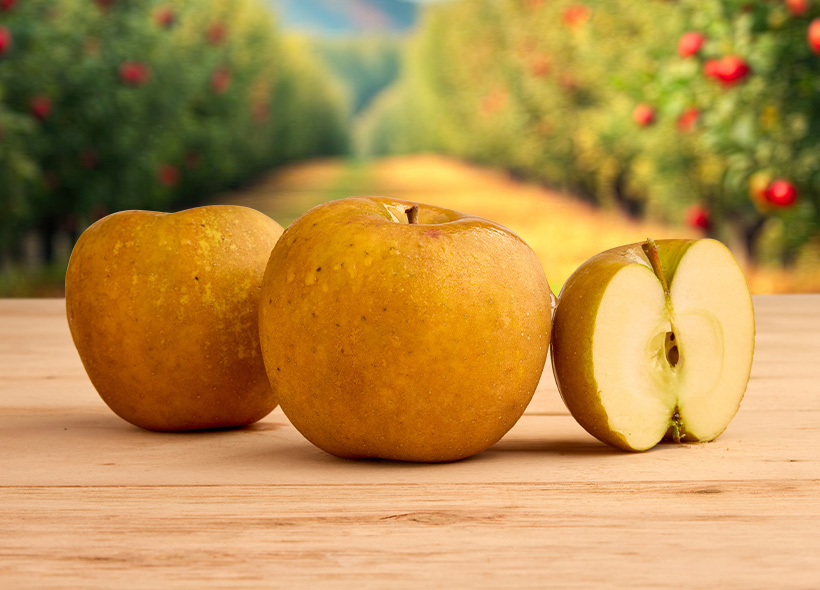 Five Branches Orchard & Juice Press Golden Russet Apples