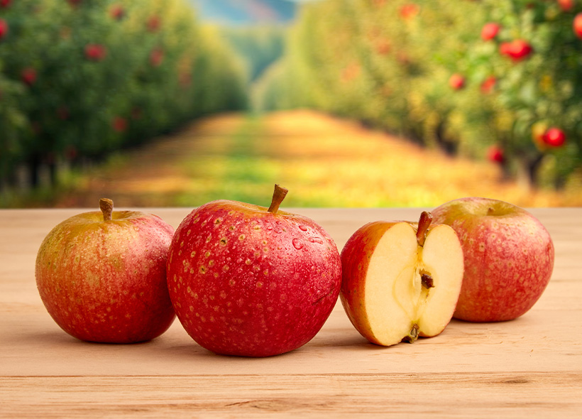 Five Branches Orchard & Juice Press Porter’s Perfection Apples