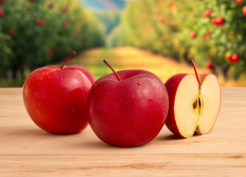 Five Branches Orchard & Juice Press Rome Beauty Apples