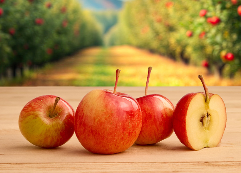 Five Branches Orchard & Juice Press Wickson Crab Apples